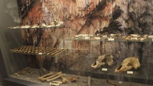 Slovenské muzeum ochrany přírody a jeskyňářství 4