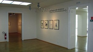 Slovenská národní galerie, SNG Bratislava 5 Zdroj: https://www.muzeum.sk/slovenska-narodna-galeria-bratislava.html