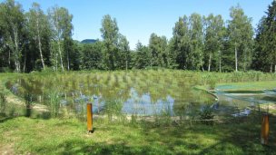 Biokoupaliště Sninské rybníky 2 Zdroj: https://sk.wikipedia.org/wiki/Sninsk%C3%A9_rybn%C3%ADky