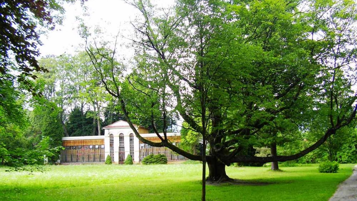 Arboretum - Park Turčianska Štiavnička 1 Zdroj: https://sk.wikipedia.org/wiki/Tur%C4%8Dianska_%C5%A0tiavni%C4%8Dka