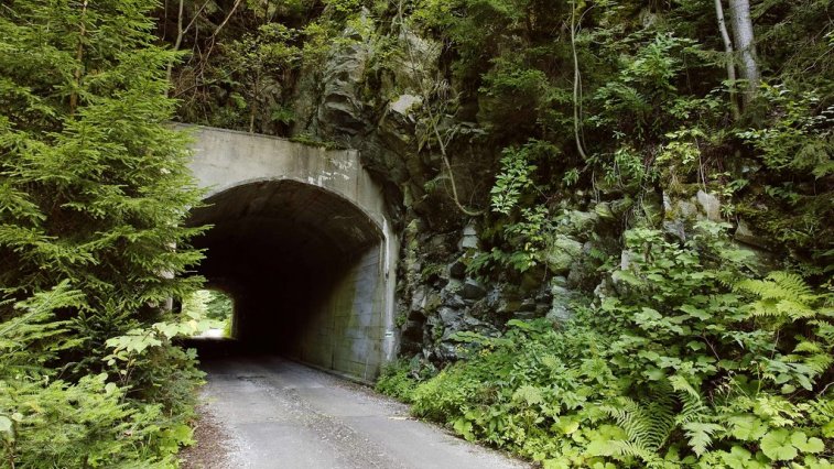 Kelemenov tunel Zdroj: https://www.lesy.sk/lesy/pre-verejnost/kam-do-prirody/vyznamne-lesnicke-miesta/zoznam/tunel-vojtecha-kelemena.html#&gid=1&pid=4